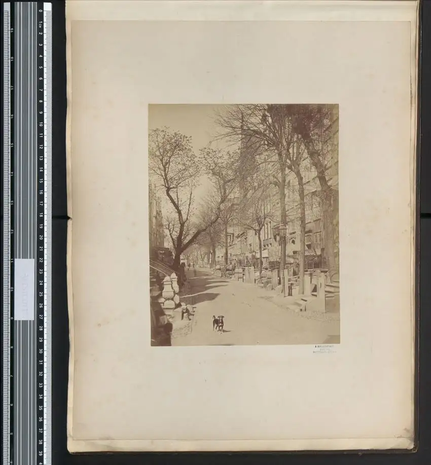 Fotoalbum mit 57 Fotografien, Alexandra v. Sachsen-Altenburg, Frankfurt / Main mit Synagoge, Danzig, Bad Reichenhall 40