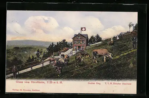 AK Hörnlikulm, Station Steg, Ansicht mit Flagge und Kühen