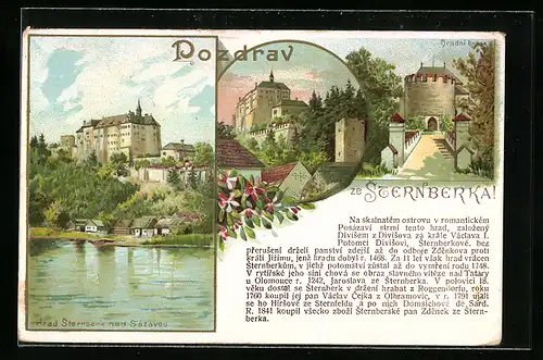 Lithographie Sternberk, Blick auf das Schloss
