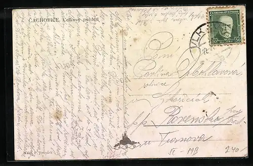 AK Cachovice, Celkovy pohled