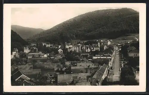 AK Trencenteplic, Celkovy pohlad zo Skalky