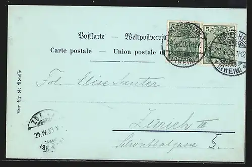 Lithographie Niederwald, Panorama, Niederwalddenkmal mit Treppen