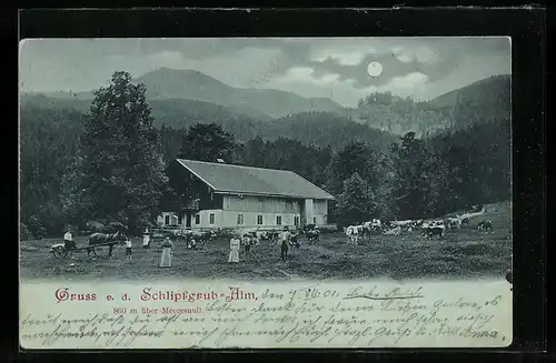 Mondschein-AK Brannenburg, Weidende Kühe vor der Schlipfgrub-Alm im Vollmondlicht