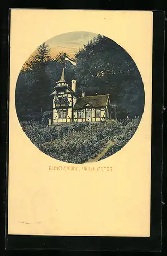 AK Bleicherode, Villa Meyer