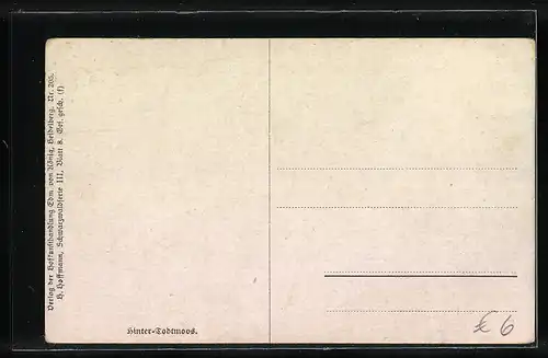 Künstler-AK Heinrich Hoffmann: Hinter-Todtmoos, Panorama