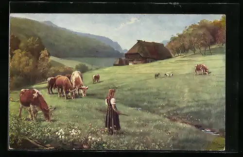 Künstler-AK Heinrich Hoffmann: Weidende Herde, Motiv aus dem Schwarzwald