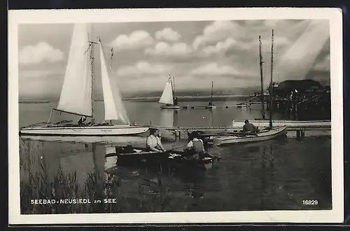 AK Neusiedl am See, Panorama mit Segelbooten