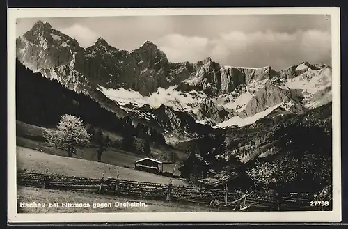 AK Hachau bei Filzmoos, Ortspartie gegen Dachstein