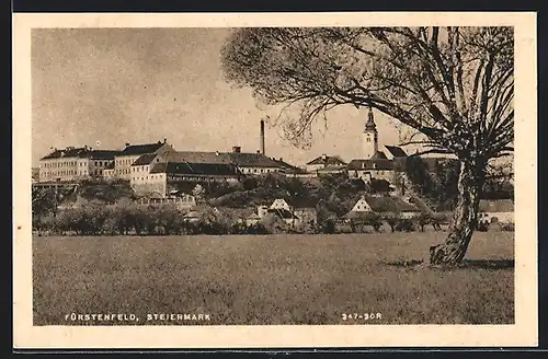 AK Fürstenfeld /Steiermark, Ortspartie mit Baum