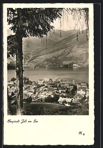 AK Zell am See, Blick auf die Bergstadt und den See