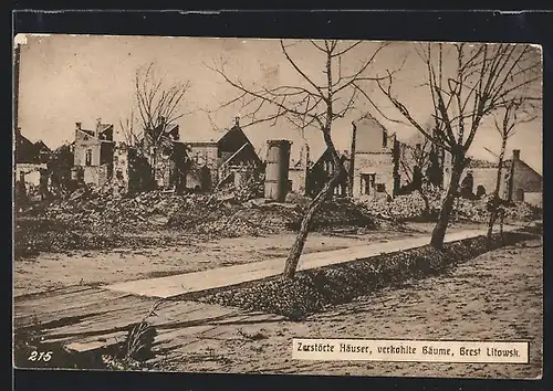 AK Brest Litowsk, Zerstörte Häuser und verkohlte Bäume