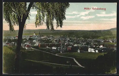 AK Mähr. Schönberg, Celkovy pohled