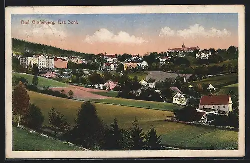 AK Bad Gräfenberg, Panorama