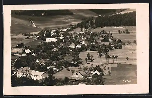 AK Nikles /Gau Sudetenland, Gesamtansicht aus der Vogelschau