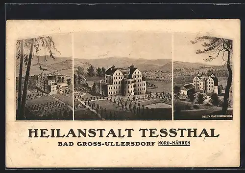 Künstler-AK Bad Gross-Ullersdorf, Die Heilanstalt Tessthal