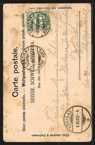 AK Biel, Alleé Pasquart