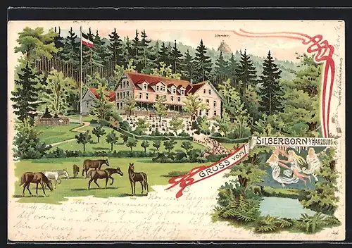 Lithographie Bad Harzburg, Ansicht vom Gasthaus Silberborn