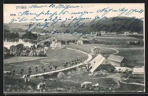 AK Titisee, Blick auf einen alten Bauernhof