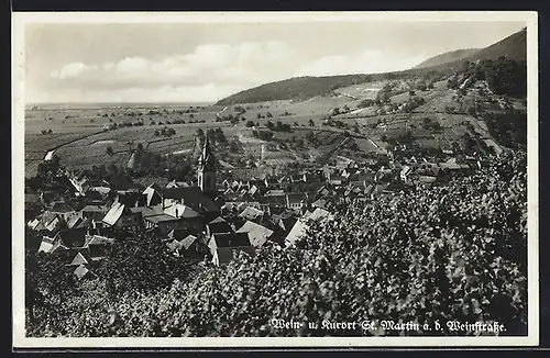 AK St. Martin a. d. Weinstr., Gesamtansicht des Kurortes