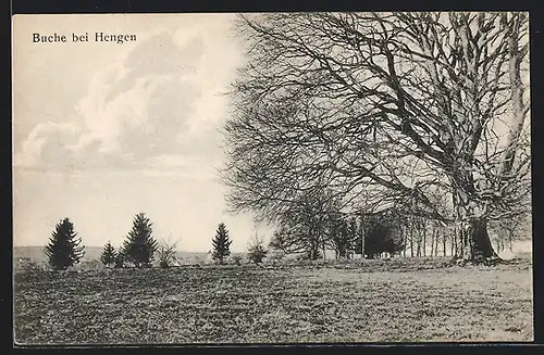 AK Hengen, Die grosse Buche im Winter