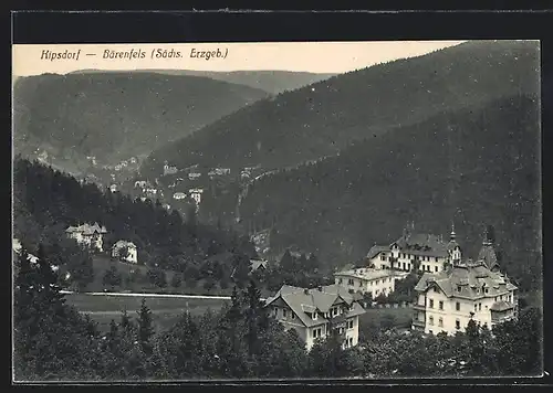 AK Kipsdorf bei Bärenfels im Sächs. Erzgeb., Gesamtansicht