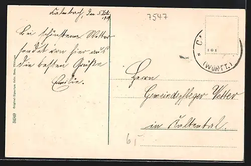 AK Calmbach a. Enz, Generalansicht