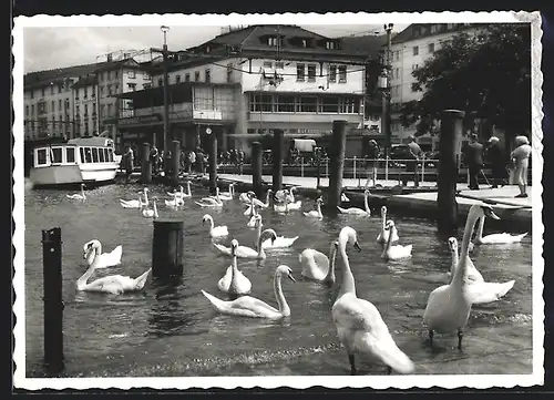 AK Rorschach, Hafen am Bodensee