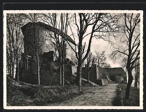 AK Brunegg, Weg zum Schloss