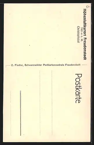 Künstler-AK Carl Biese: Freudenstadt, Blick ins Christophstal