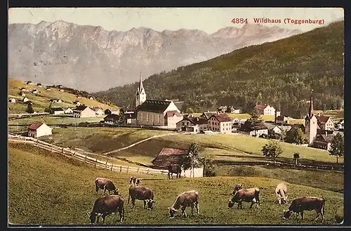AK Wildhaus, Ortspartie mit Kirche, Toggenburg
