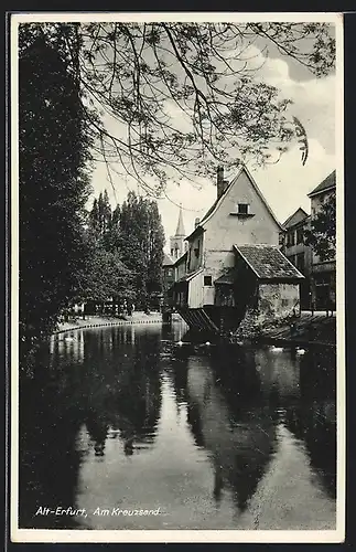 AK Alt-Erfurt, Idylle mit Weiher am Kreuzsand