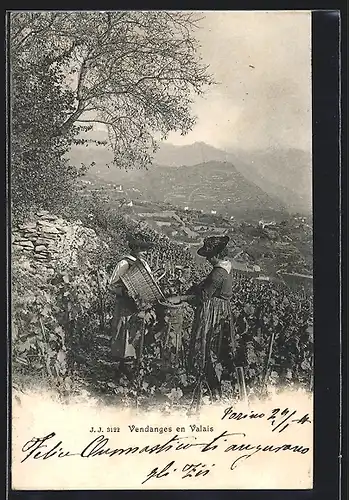 AK Junge Frauen bei der Weinlese