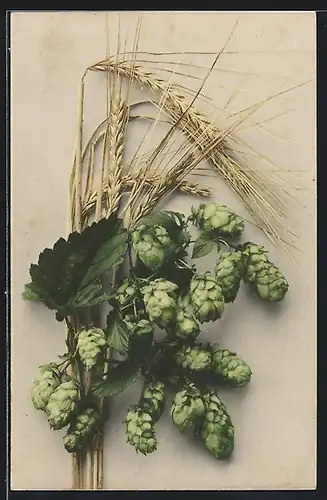 AK Hopfen und Ähren, Landwirtschaft