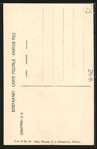 AK Blühende Tabakpflanze