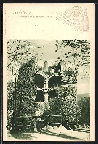 AK Heidelberg, Schloss, der gesprengte Thurm, Reklame für Dr. Fischer`s Essigessenz