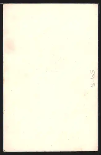 AK 1 1 /2 Edisons, The acrobatic Wonders