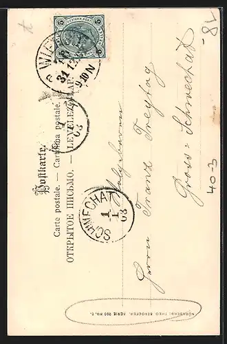 AK Schwein sieht dem Jungen beim Pinkeln zu, Toilettenhumor