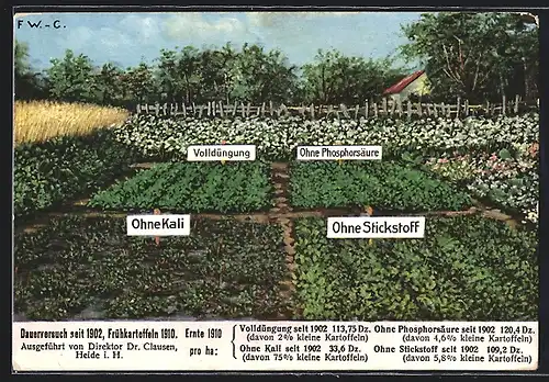 AK Reklame Kali, Dauerversuch seit 1902 an Kartofflen mit und ohne Düngung
