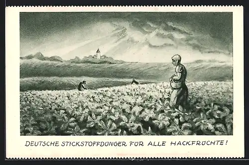 AK Deutsche Stickstoffdünger für alle Hackfrüchte, Bauern auf dem Feld, Reklame, Metamorphose