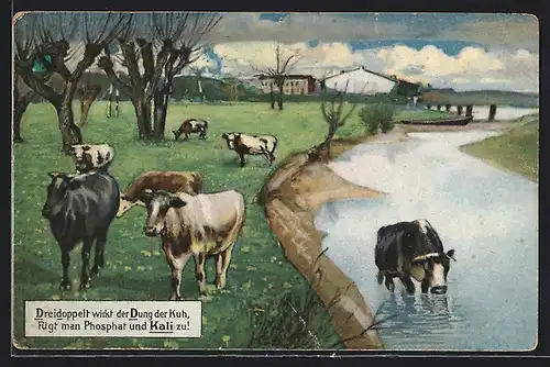 Künstler-AK Reklame für Dünger, Dung der Kuh mit Phosphat und Kali