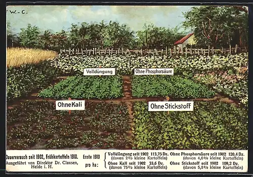 AK Versuchsfeld Frühkartoffeln mit Ernte 1910 ohne Dünger und mit Volldüngung, Reklame