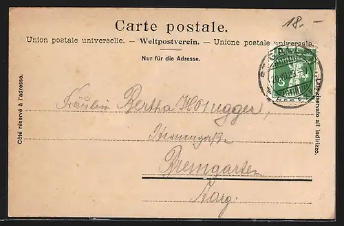 AK Sankt Gallen, Ortsansicht mit Freudenberg