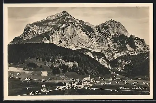 AK Wildhaus, Ortsansicht mit Schafberg