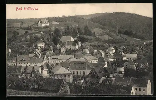 AK Bad Gottleuba, Ortsansicht mit Kirche