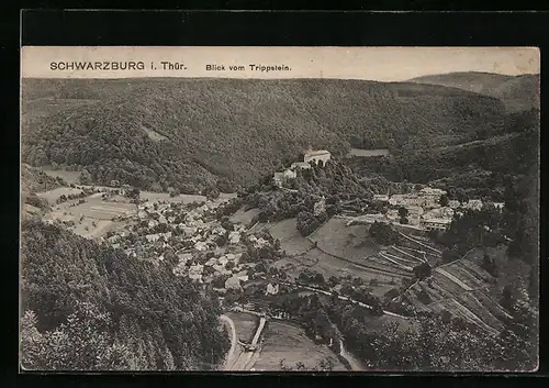 AK Schwarzburg i. Thür., Blick vom Trippstein