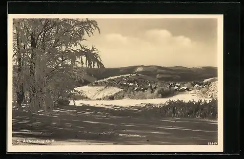 AK St. Andreasberg /Oberharz, Ortsansicht im Winter