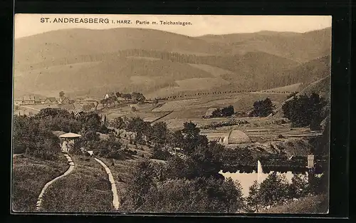 AK St. Andreasberg /Oberharz, Partie mit Teichanlagen