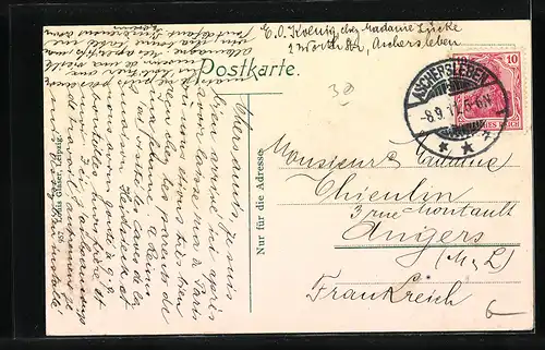 AK Aschersleben, Ortsansicht hinter Bäumen