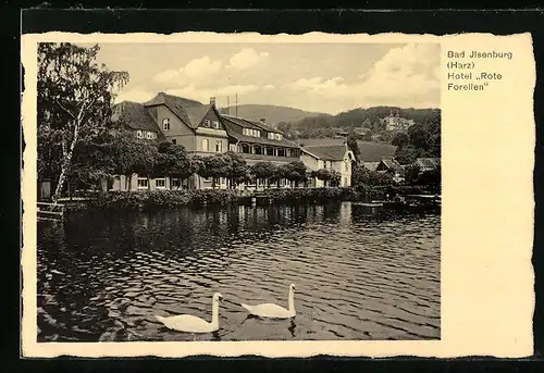 AK Bad Ilsenburg / Harz, Hotel Rote Forellen