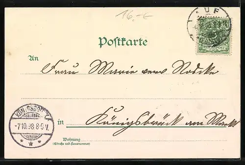 Lithographie Aue, Heilanstalt, Bürgerschule, Totalansicht